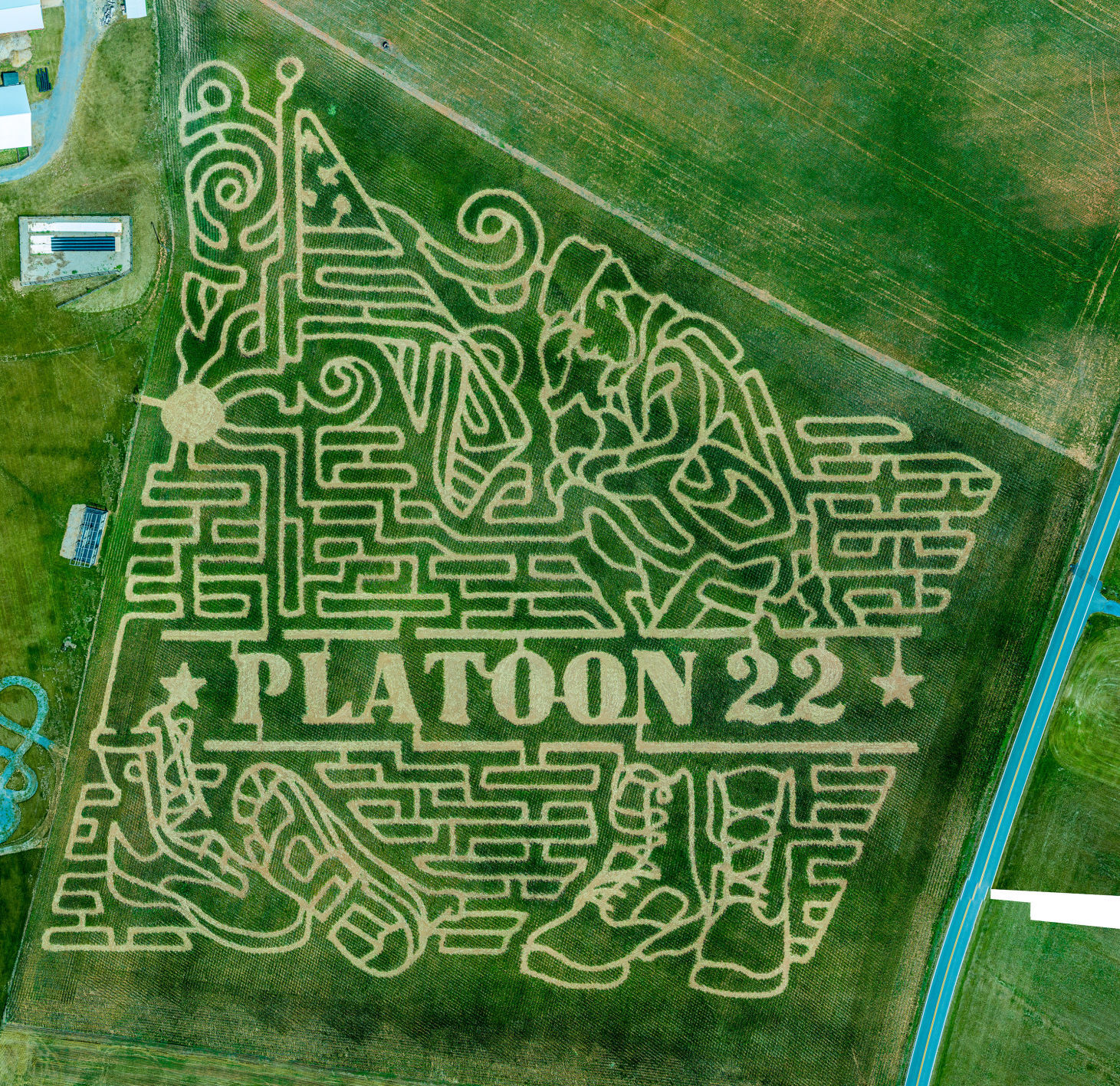 Corn Maze